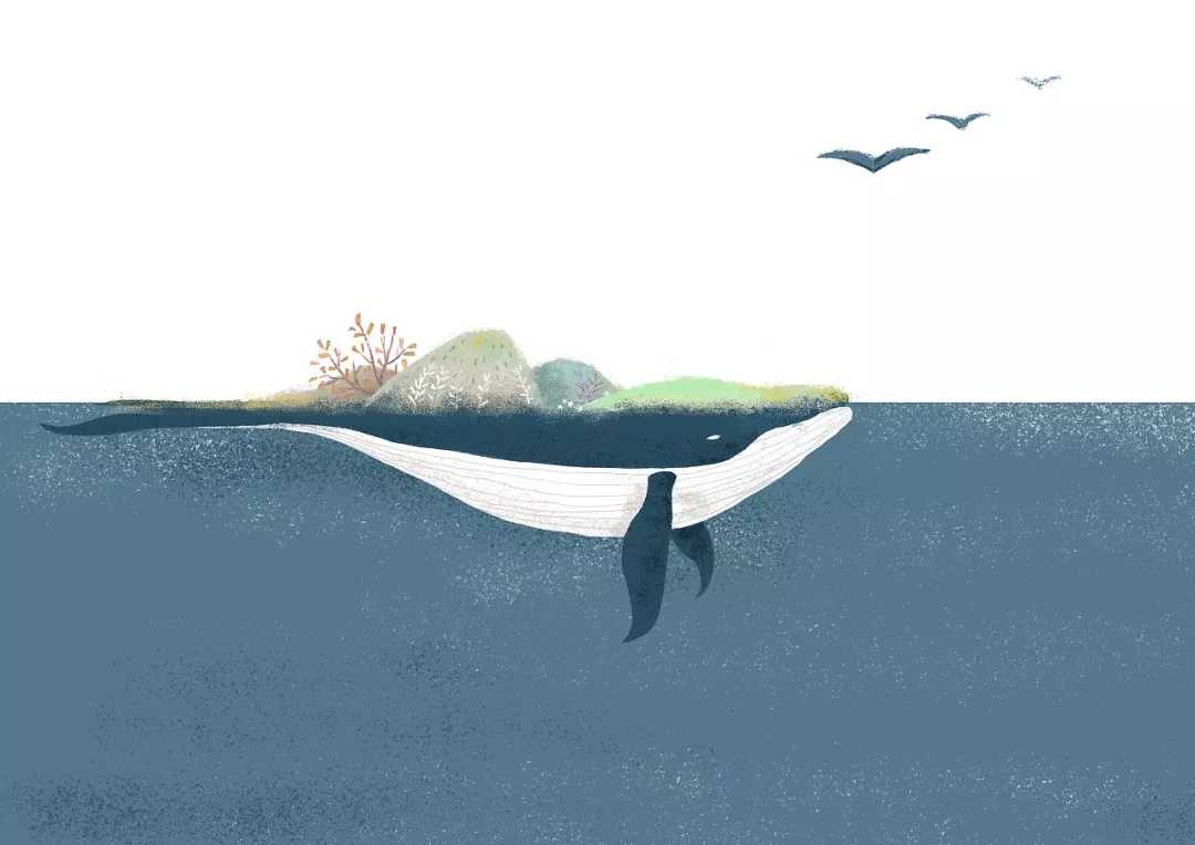 化身孤岛的鲸钢琴谱 不才 梦有孤岛岛有独鲸7