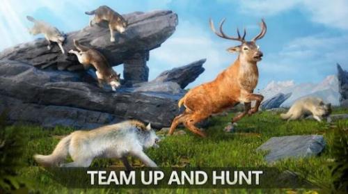 澳门mgm美高梅app游戏下载-澳门mgm美高梅app最新版游戏下载