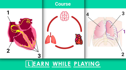 精彩截图-澳门金沙城官方网站汉化版游戏下载-澳门金沙城官方网站2026版下载4