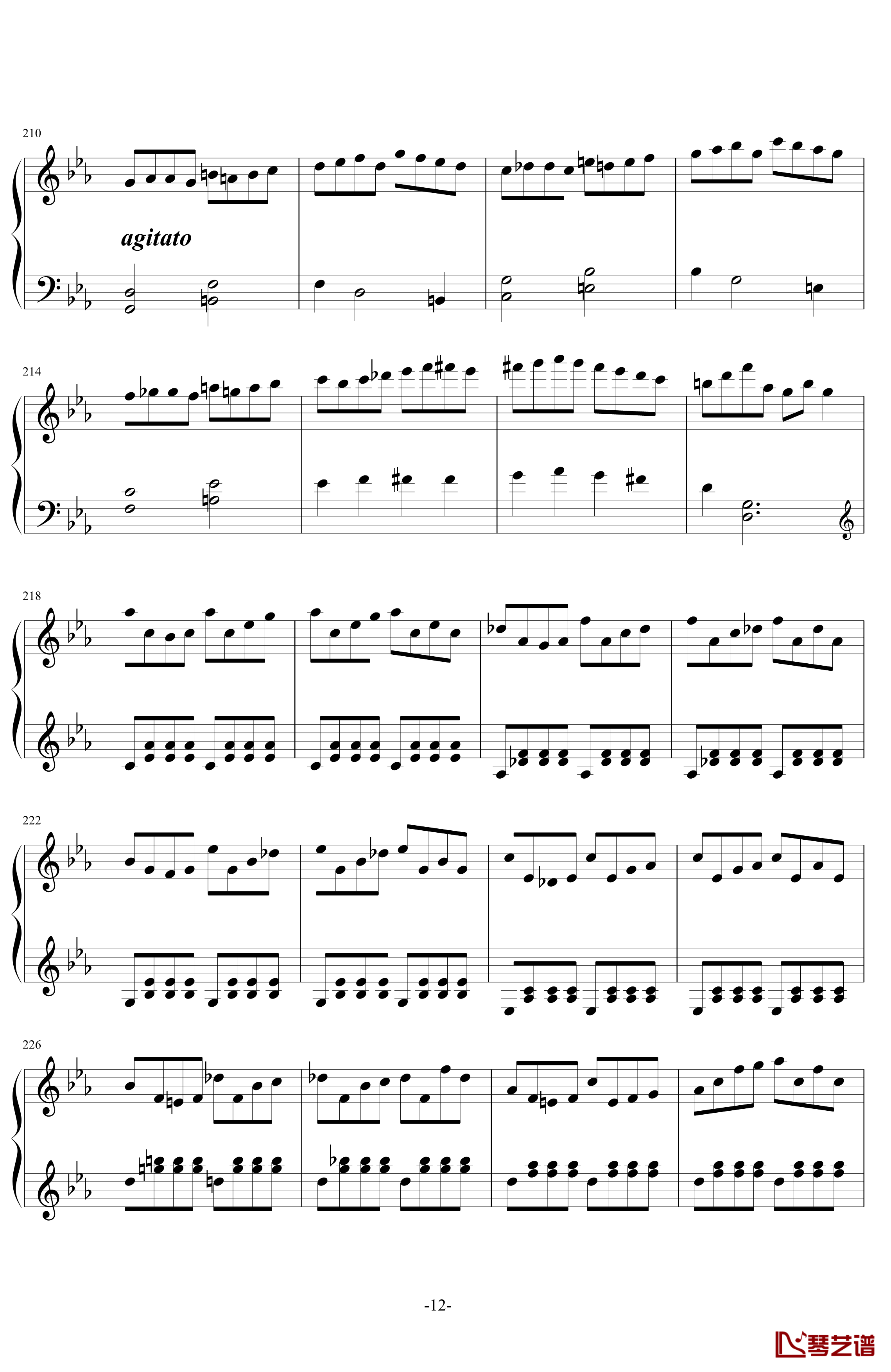 C小调第一钢琴奏鸣曲第一乐章钢琴谱-ver 2011.6-舍勒七世12