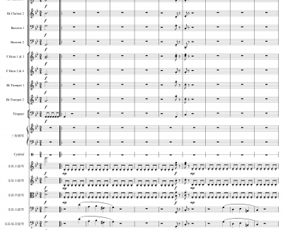Piano Concerto No.8, Op.123 III钢琴谱 一个球