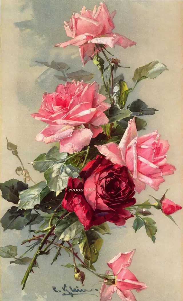 野玫瑰简谱    予人玫瑰，手有余香——舒伯特和他的野玫瑰7