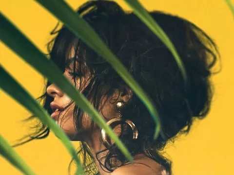 Havana简谱  Camila Cabello /Young Thug  席卷欧美的神曲，燃爆抖音15