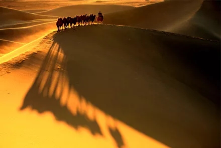 骆驼吉他谱 薛之谦-全世界都是沙漠  人心里住着骆驼6