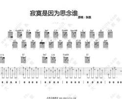 寂寞是因为思念谁吉他谱-张磊-C调弹唱教学讲解