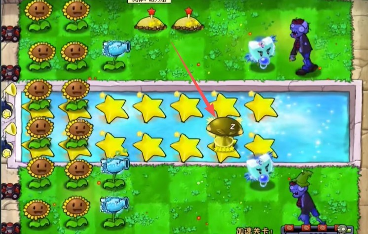 新葡萄网址杨桃版