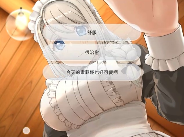 我与银河贵宾汇官网的秘密手游