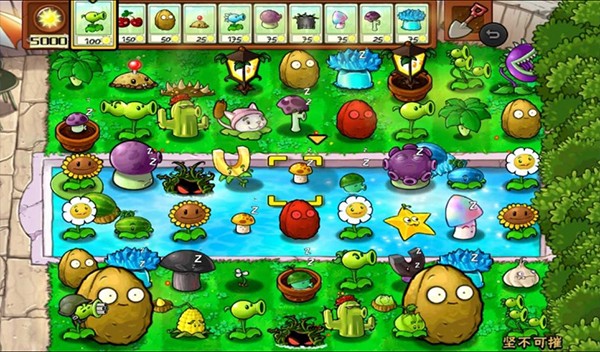 精彩截图-9297威尼斯人随机礼盒版下载-9297威尼斯人随机礼盒版游戏下载1