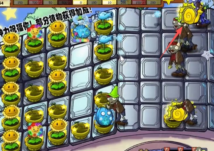 新葡萄网址杨桃版