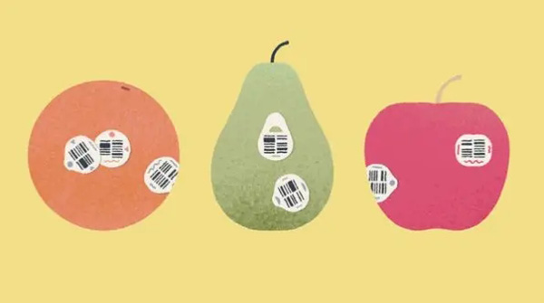 金沙集团官网app下载安卓版下载安装-金沙集团官网app下载手机版下载游戏画面1